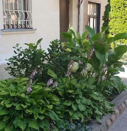 Appartement Saule